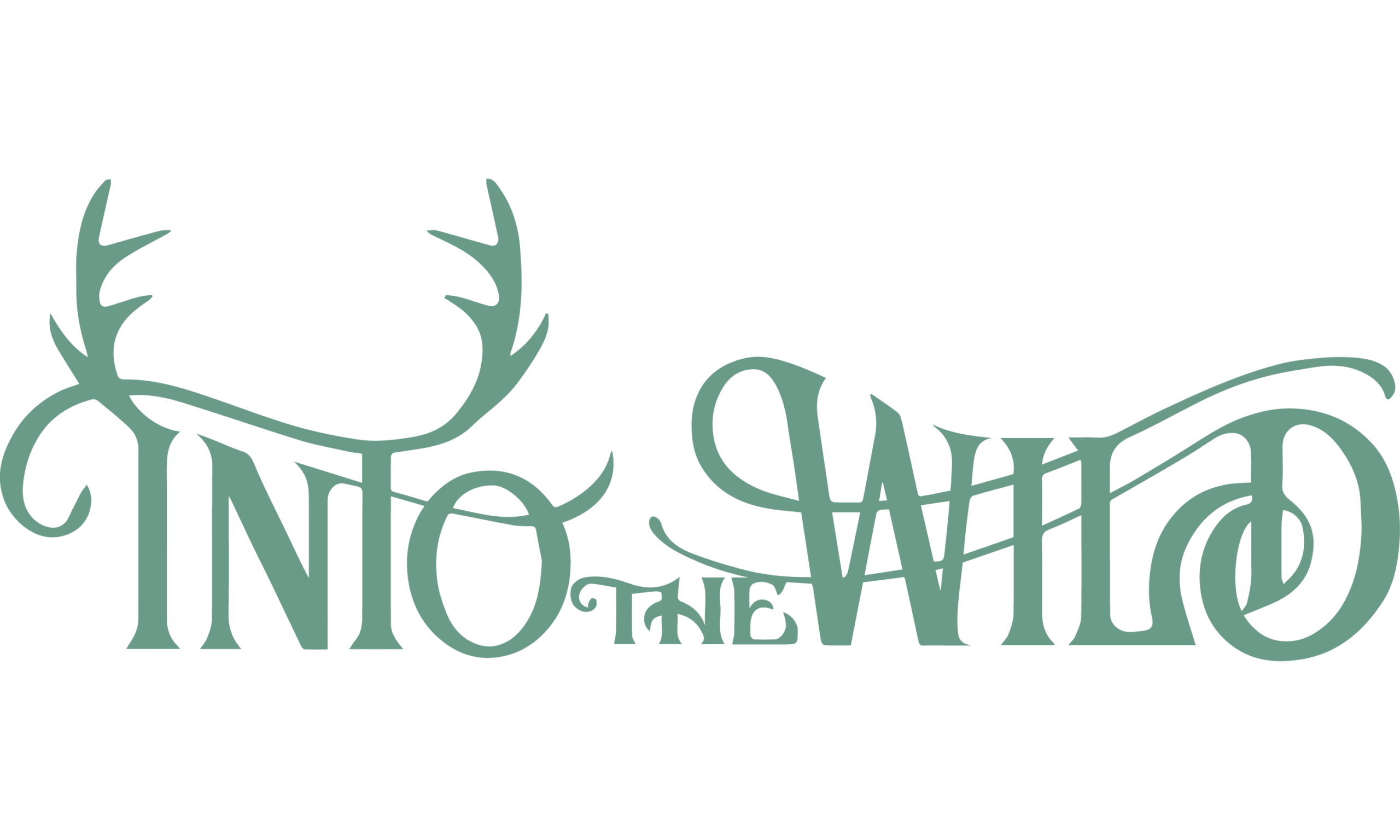 Into-the-wild-1-01